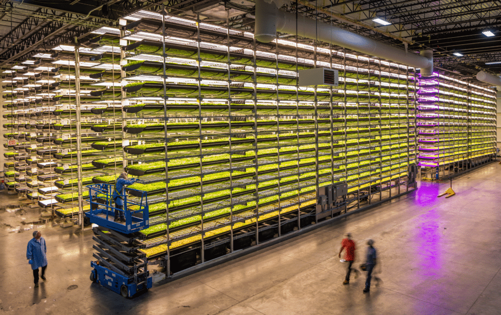 indoor vertical farming facility, AeroFarms.