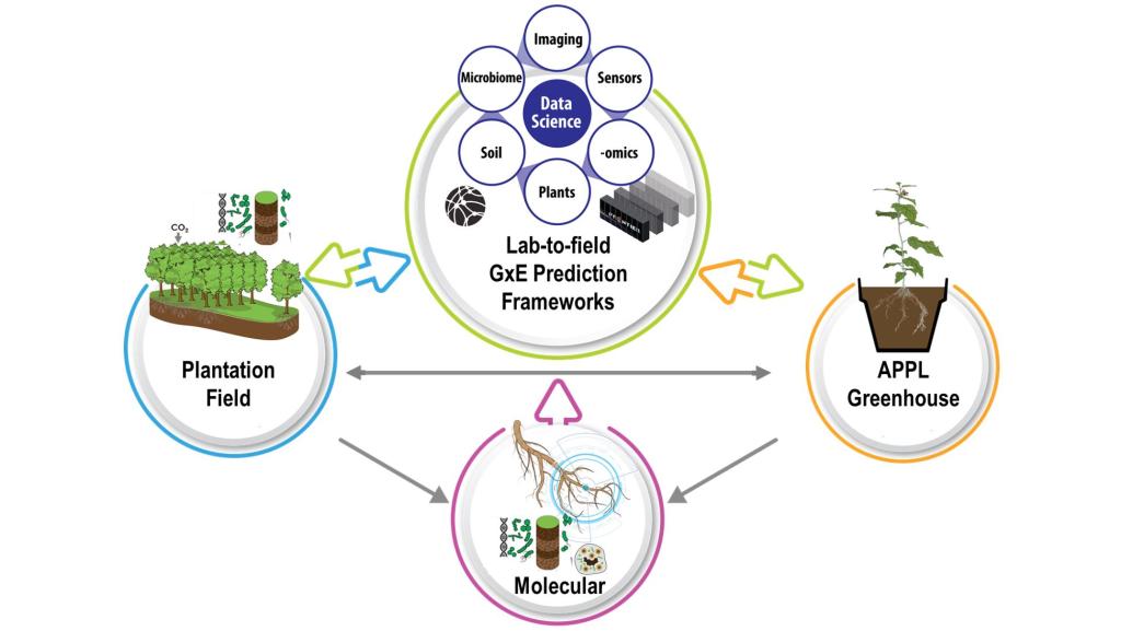 Illustration shows how the components of Smart plant systems work together