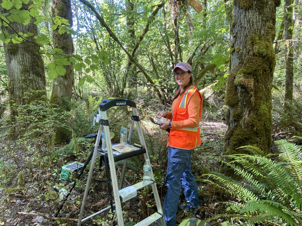 Woman in baseball cap, jeans and an orange safety vest stands in the forest with a ladder. 