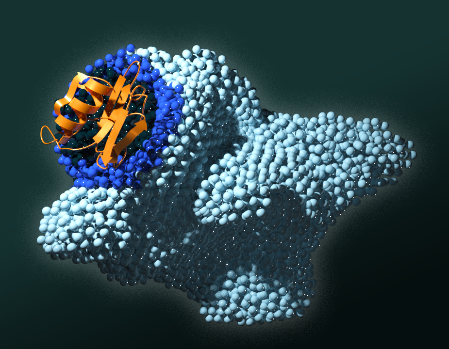 ORNL scientists identified four amino acids key to signaling pathways in the PAN protein domain. Mutating any of those disrupted the signal that tells cancer cells to multiply. Credit: Andy Sproles/ORNL, U.S. Dept. of Energy