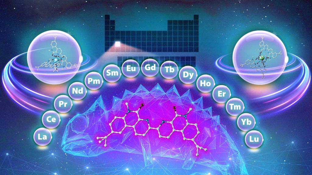 Conceptual art shown here depicts a ligand adapting to its environment. 