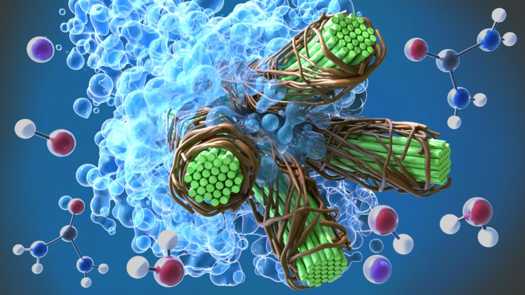 ORNL scientists used molecular dynamics simulations, exascale computing, lab testing and analysis to accelerate the development of an energy-saving method to produce nanocellulosic fibers. 