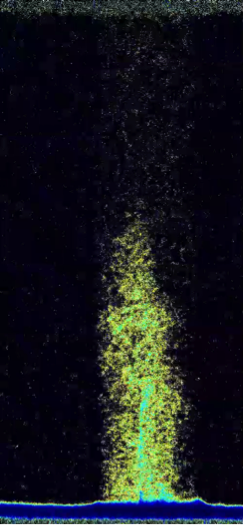 Neutron n radiograph of water uptake along and around a fracture in a sample of Mancos Shale Neutron n radiograph of water uptake along and around a fracture in a sample of Mancos Shale