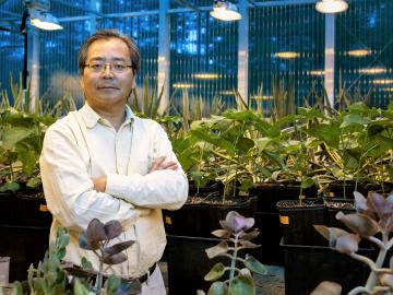 Lianhong Gu is an environmental scientist in the Ecosystem Science Group at ORNL.