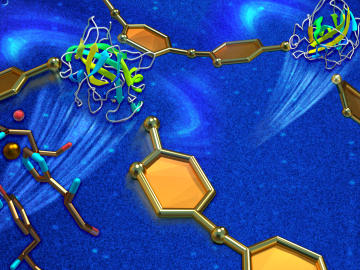 A combination of X-ray and neutron scattering has revealed new insights into how a highly efficient industrial enzyme is used to break down cellulose. Knowing how oxygen molecules (red) bind to catalytic elements (illustrated by a single copper ion). A combination of X-ray and neutron scattering has revealed new insights into how a highly efficient industrial enzyme is used to break down cellulose. Knowing how oxygen molecules (red) bind to catalytic elements (illustrated by a single copper ion).