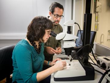 Brenda Pracheil and Bryan Chakoumakos examine the structure of an otolith under a microscope.