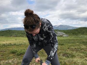 Elizabeth Herndon takes a soil sample at a field site outside Abisko, Sweden in July 2019.