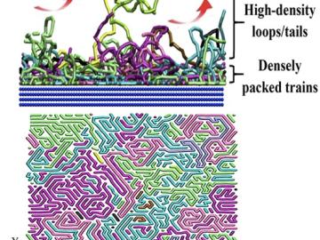 Polymer Architecture Enables Protein Resistant Surfaces