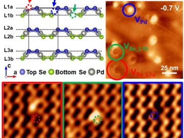 Charging and Imaging Defects On and In PdSe2