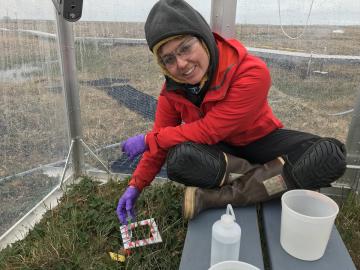 Ecosystem Ecologist Verity Salmon captures and analyzes field data from sites in in Alaska and Minnesota to inform earth system models that are being used to predict environmental change.