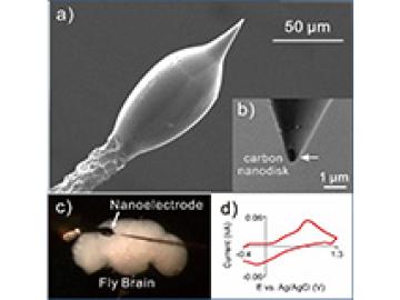 3D-Printed Carbon Nanoelectrodes for In Vivo Neurotransmitter Sensing