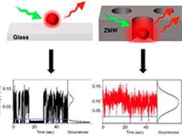 Photoluminescence Enhancement of Single Quantum Dots in Zero Mode Waveguides