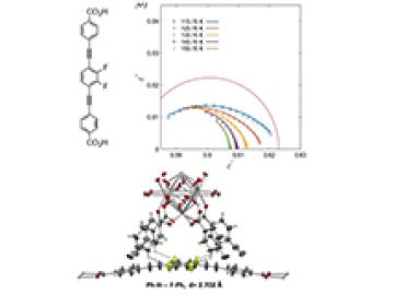 Rotational Dynamics of an Amphidynamic Zirconium MOF Determined by Dielectric Spectroscopy