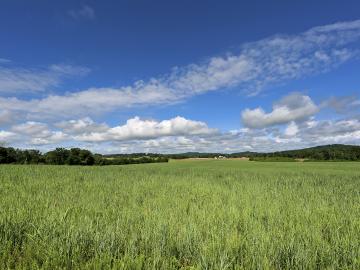 ORNL researchers are examining ways to increase the amount of carbon sequestered in soils by crops such as switchgrass. Credit: Jason Richards/ORNL, U.S. Dept. of Energy