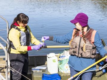 ORNL’s Brenda Pracheil, left, and Kristine Moody collect water samples at Melton Hill Lake using a sophisticated instrument that collects DNA in the water to determine fish species and number of fish in the water, which could prove useful for monitoring hydropower impacts. Credit: Carlos Jones, ORNL/U.S Dept. of Energy