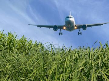 Scientists with the Center for Bioenergy Innovation at ORNL highlighted a hybrid approach that uses microbes and catalysis to convert cellulosic biomass into fuels suitable for aviation and other difficult-to-electrify sectors. Credit: ORNL, U.S. Dept. of Energy
