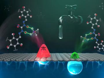 Researchers at Oak Ridge National Laboratory designed an adsorbent material to rapidly remove toxic chromium and arsenic simultaneously from water resources. Credit: Adam Malin/ORNL, U.S. Dept. of Energy