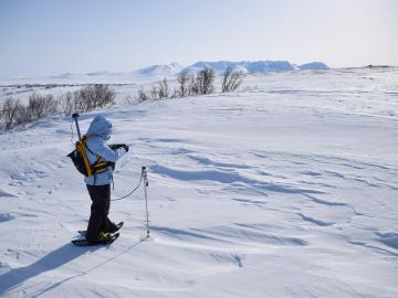 Researcher takes measurements in the snowy landscape of Alaskan tundra