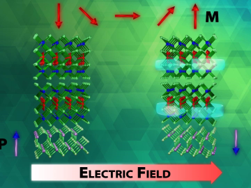 A new method to control quantum states in a material is shown. The electric field induces polarization switching of the ferroelectric substrate, resulting in different magnetic and topological states. Credit: Mina Yoon, Fernando Reboredo, Jacquelyn DeMink/ORNL, U.S. Dept. of Energy