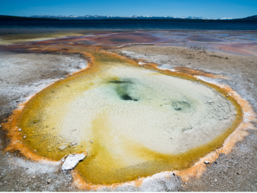 Scientists conducted microbial DNA sampling at a Yellowstone National Park hot spring for a study sponsored by DOE’s Biological and Environmental Research program, the National Science Foundation and NASA. Credit: Mircea Podar/ORNL, U.S. Dept. of Energy