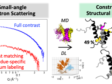 Integrated workflow using small-angle neutron scattering, molecular dynamics (MD) simulation, and deep learning (DL) to characterize structural ensembles of an intrinsically disordered protein complex associated with breast and ovarian cancer.