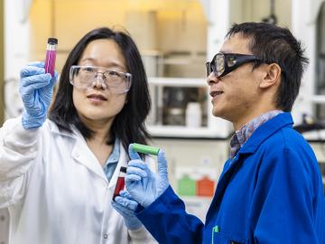 ORNL researchers Lu Yu and Yaocai Bai examine vials that contain a chemical solution that causes the cobalt and lithium to separate from a spent battery, followed by a second stage when cobalt precipitates in the bottom. Credit: Carlos Jones/ORNL, U.S. Dept. of Energy