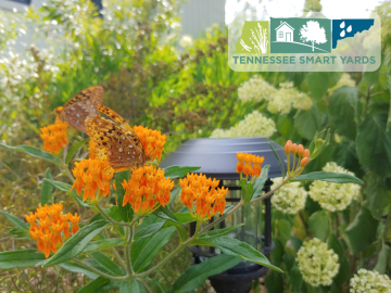Tennessee Smart Yards