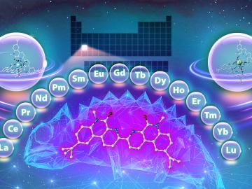 Conceptual art shown here depicts a ligand adapting to its environment. 