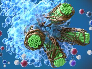 ORNL scientists used molecular dynamics simulations, exascale computing, lab testing and analysis to accelerate the development of an energy-saving method to produce nanocellulosic fibers. 