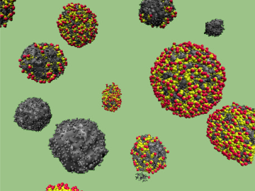 A molecular dynamics simulation depicts solid (black) and hollow (multicolored) carbon spheres derived from the waste sugar streams of biorefineries. The properties of the hollow spheres are ideal for developing energy storage devices called supercapacito