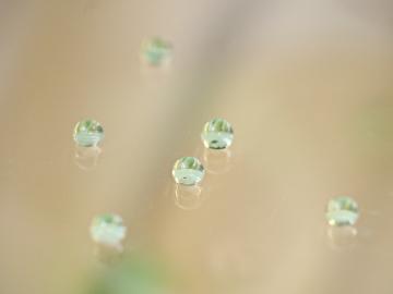 Superhydrophobic water droplets Superhydrophobic water droplets