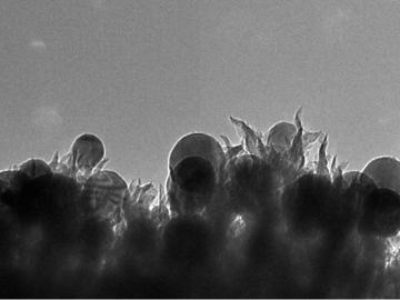 carbon nanospikes