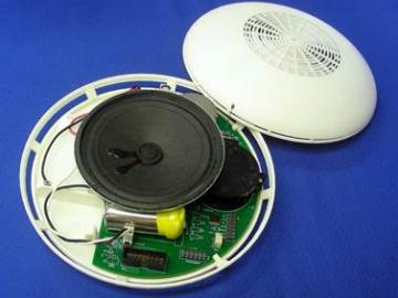 ORNL Image