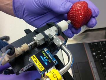 Oak Ridge National Laboratory’s PenDoc makes sampling the surface of a strawberry for pesticides, for example, quick and easy. Oak Ridge National Laboratory’s PenDoc makes sampling the surface of a strawberry for pesticides, for example, quick and easy.