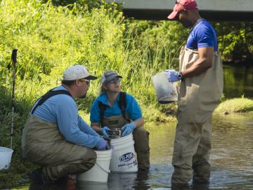 By wet-sieving stream sediment, (from left) Oak Ridge National Laboratory’s Kenneth Lowe, Melanie Mayes and John Dickson sort sediment into different particle size in this stream near Rocky Top.