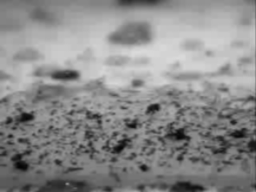 A superhydrophobic additive increases resistance to water, soiling and microbial growth. A superhydrophobic additive increases resistance to water, soiling and microbial growth.