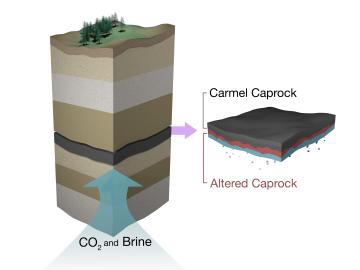 The Carmel caprock, which overlies an aquifer naturally charged with carbon dioxide, was analyzed with neutron scattering, revealing alteration only in the basal 7 cm and progression of caprock corrosion an order of magnitude slower than expected. The Carmel caprock, which overlies an aquifer naturally charged with carbon dioxide, was analyzed with neutron scattering, revealing alteration only in the basal 7 cm and progression of caprock corrosion an order of magnitude slower than expected.