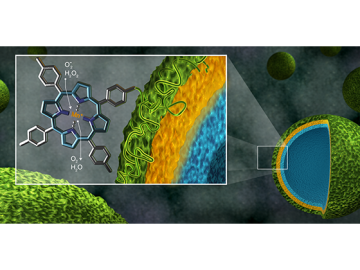 Shown as green spheres, microcapsules containing the polymer manganoporphyrin, a newly developed antioxidant (green), the natural antioxidant tannic acid (yellow), and a binding material (blue), can be analyzed for stability and efficiency with neutrons. 