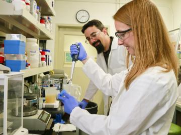 Beth Papanek, working with nutrients for bacterial growth, and Adam Guss are among the ORNL authors of a paper published in Metabolic Engineering. Beth Papanek, working with nutrients for bacterial growth, and Adam Guss are among the ORNL authors of a paper published in Metabolic Engineering.
