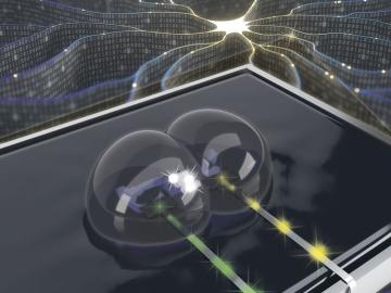 Computing building blocks of soft materials may someday directly interface with the brain, according to researchers at Oak Ridge National Laboratory and the University of Tennessee. Credit: Joseph Najem, Oak Ridge National Laboratory/U.S. Dept. of Energy Computing building blocks of soft materials may someday directly interface with the brain, according to researchers at Oak Ridge National Laboratory and the University of Tennessee. Credit: Joseph Najem, Oak Ridge National Laboratory/U.S. Dept. of Energy