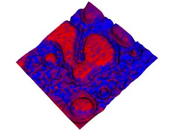 A hybrid 3-D optical microscope – mass spectrometry map showing optical brightness (height) and chemical distribution of poly(2vinylpyridine) (red) and poly(N-vinylcarbazole) (blue) signals of a 20 micron-by-20 micron area of a polymer blend. (ORNL/DOE) A hybrid 3-D optical microscope – mass spectrometry map showing optical brightness (height) and chemical distribution of poly(2vinylpyridine) (red) and poly(N-vinylcarbazole) (blue) signals of a 20 micron-by-20 micron area of a polymer blend. (ORNL/DOE)