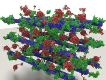Researchers used experimental data to create a 23.7-million atom biomass model featuring cellulose (purple), lignin (brown), and enzymes (green). (Image credit: Mike Matheson, ORNL) Researchers used experimental data to create a 23.7-million atom biomass model featuring cellulose (purple), lignin (brown), and enzymes (green). (Image credit: Mike Matheson, ORNL)