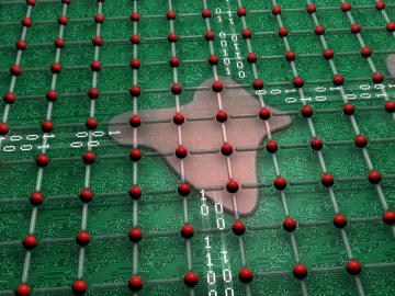 An ORNL study found that complex oxide materials can self-organize into electrical circuits, which creates the possibility for new types of computer chips. An ORNL study found that complex oxide materials can self-organize into electrical circuits, which creates the possibility for new types of computer chips.