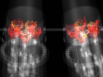 A simulation of combustion within two adjacent gas turbine combustors. GE researchers are incorporating advanced combustion modeling and simulation into product testing after developing a breakthrough methodology on the OLCF’s Titan supercomputer.