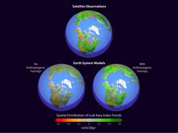 Earth system models simulate Northern Hemisphere greening. 