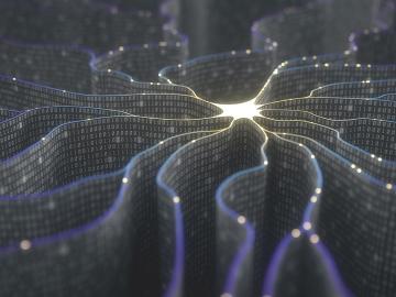 Inspired by the brain’s web of neurons, deep neural networks consist of thousands or millions of simple computational units.