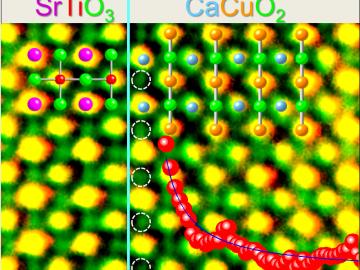 An ORNL-University of Rome study has delivered direct evidence of high-temperature superconductivity at the interface of two insulating oxide materials. Electron microscopy at ORNL showed that superconductivity arises from oxygen ions (circled in white) t