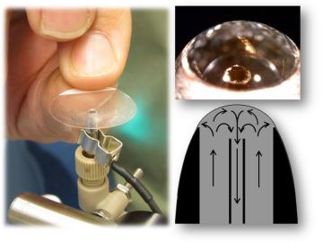 Material dissolved in the liquid at the port tip is immediately transported into the mass spectrometer, ionized, detected and characterized. Material dissolved in the liquid at the port tip is immediately transported into the mass spectrometer, ionized, detected and characterized.