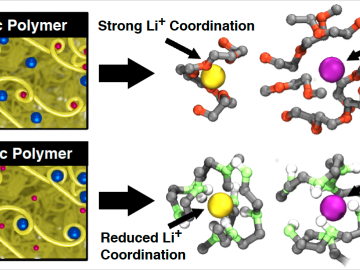 Contrasting solvation strategies in conventional electrolytes (top-left) and a new class of Lewis-acidic polymer electrolytes (bottom-left). Contrasting solvation strategies in conventional electrolytes (top-left) and a new class of Lewis-acidic polymer electrolytes (bottom-left).