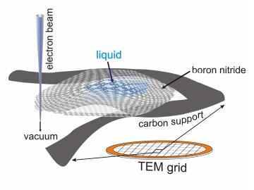 Schematic drawing of the boron nitride cell. Credit: University of Illinois at Chicago.